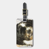 FB_IMG_1481505521015 Shitzu犬 ラゲッジタグ (正面縦)
