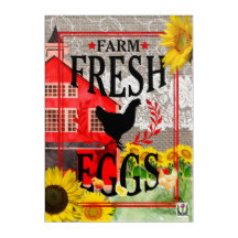 FDの国の田舎者のアートワーク53086C39