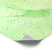 *~* FD2 25はっきりしたフラミンゴ熱帯黒人女性 ポスター (角)