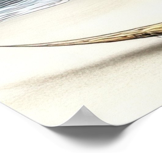 FD2 Enchanted Crescent Moon Goddess 1 Poster ポスター (角)