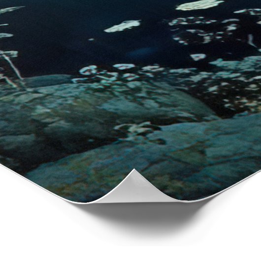 *~* FD3 12 Enchanting Forest Nymph Fantasy ポスター (角)