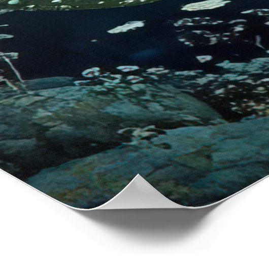 *~* FD3 27 Enchanting Forest Nymph Fantasy ポスター (角)