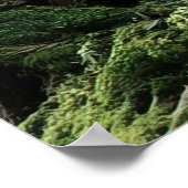 *~* FD3 Earth Keeper Visionary Spirit Fantasy 13 ポスター (角)