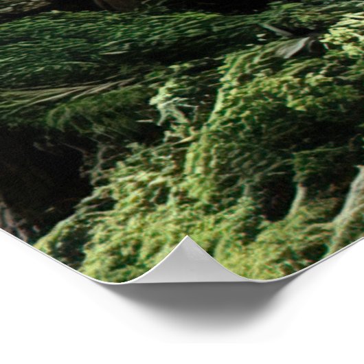 *~* FD3 Earth Keeper Visionary Spirit Fantasy 13 ポスター (角)