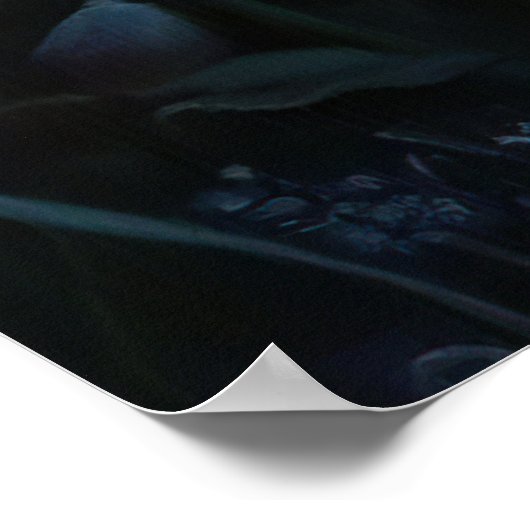 *~* FD3 Magical  Forest Nymph Fantasy 26 ポスター (角)