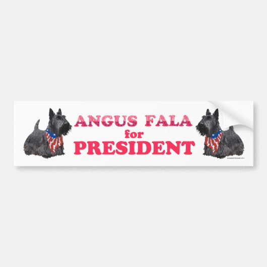 FDRの愛犬アンガス・ファラ 大統領に就任 バンパーステッカー (正面)