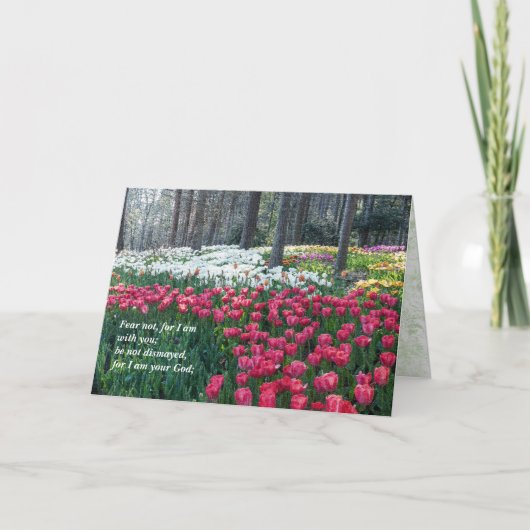 "Fear Not, for I Am with You"  Encouragement Card サンキューカード (正面)