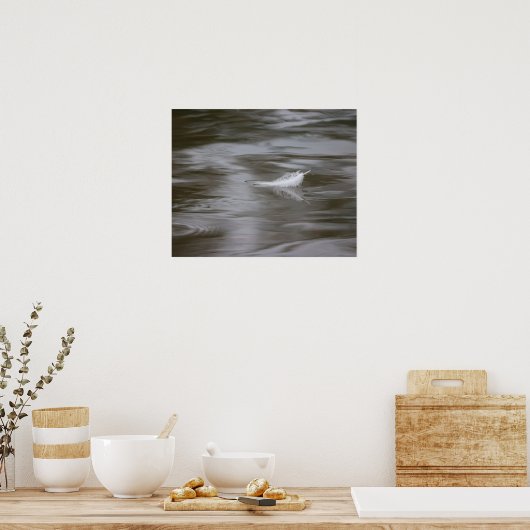 feather on the water ポスター (キッチン)