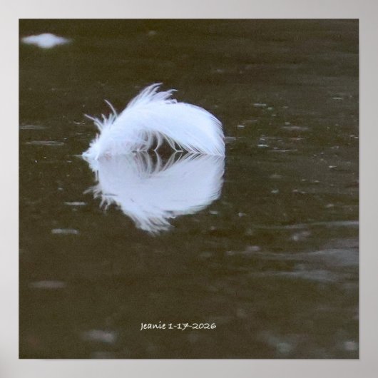 Feather on the water ポスター (正面)