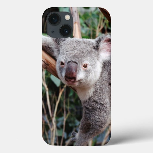 Featherdaleの野性生物公園、コアラ Case-Mate iPhoneケース (裏面)