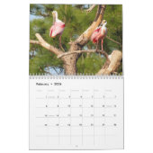 Feathered Friends 2013カレンダー – Encore Edition カレンダー (2月 2026)