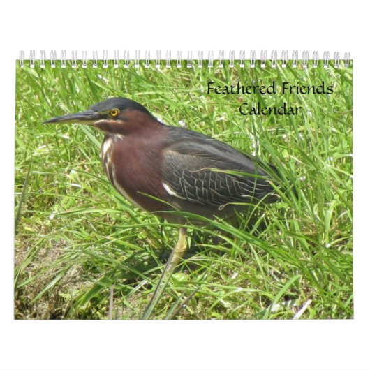 Feathered Friends 2013カレンダー – Encore Edition カレンダー (カバー)