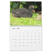 Feathered Friends 2013カレンダー – Encore Edition カレンダー (3月 2027)
