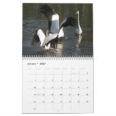 Feathered Friends 2013カレンダー – Encore Edition カレンダー (1月 2027)