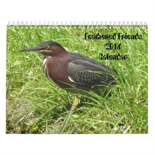 Feathered Friends 2016 (Encore)カレンダー カレンダー (カバー)
