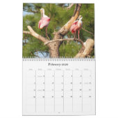 Feathered Friends 2016 (Encore)カレンダー カレンダー (2月 2026)