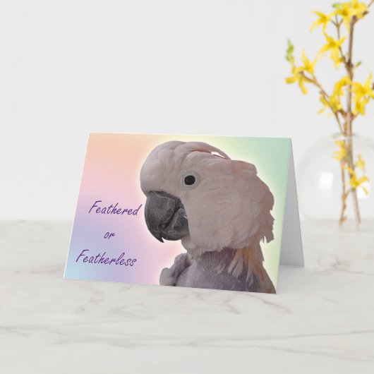 Featherless カード (黄色い花)