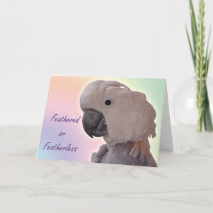 Featherless カード