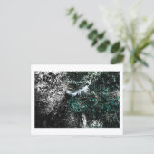 Feathers in the Woods by Jeffrey H. Thornton:  ポストカード (スタンド正面)