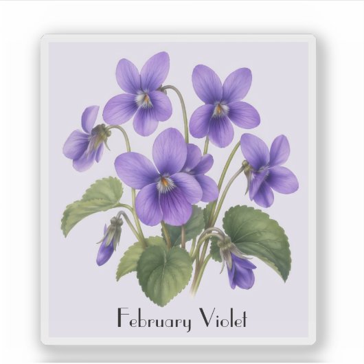 February Violet Flowers  Sticker シール (正面)
