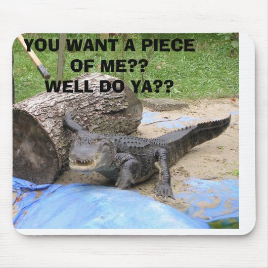 feddings 005の私の部分がほしいと思いますか。か。井戸はか。か。 マウスパッド (正面)