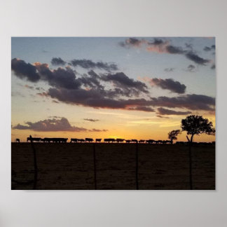 Feed Time ポスター