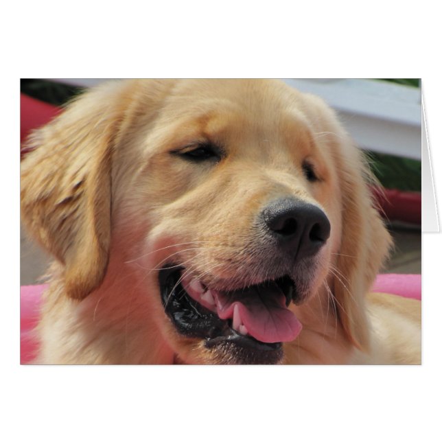 Feelinの罰金 (正面横)