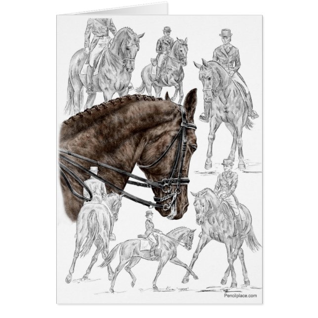 FEI聖堂馬集 (正面)