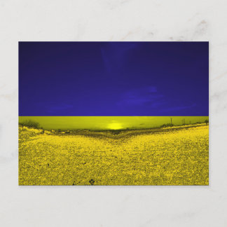 Feld in Farben der Ukraine ポストカード
