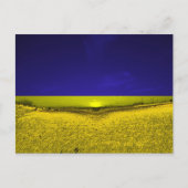 Feld in Farben der Ukraine ポストカード (正面)