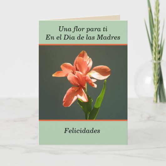 Felicidades para ti en el dia de las madres カード (正面)