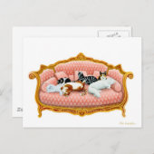 Felineロイヤリティポストカード ポストカード (正面/裏面)