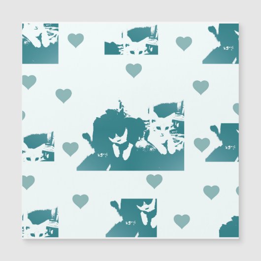 Feline Friends. Adorable Kitten Duo. (正面)