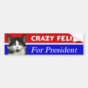 Felix大統領バンパーステッカーのための猫 バンパーステッカー