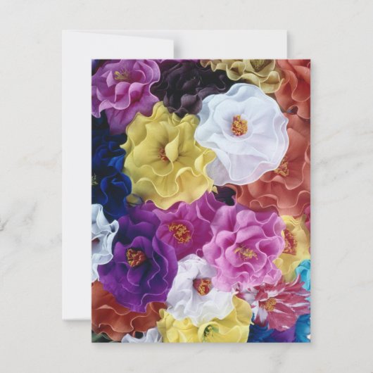 ¡Feliz Cinco de Mayo! (正面)