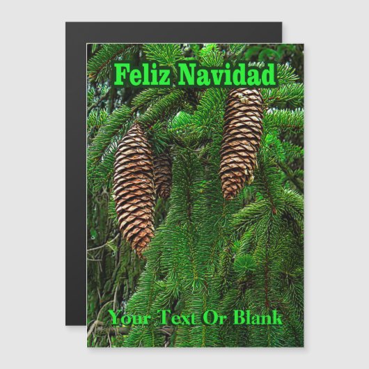 Feliz Navidad – コーンとニードル (正面/裏面)