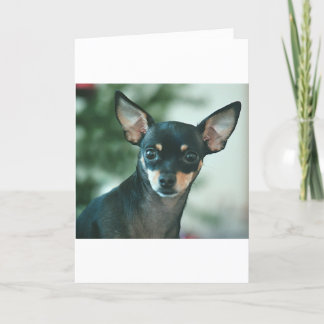 Feliz Navidad シーズンカード