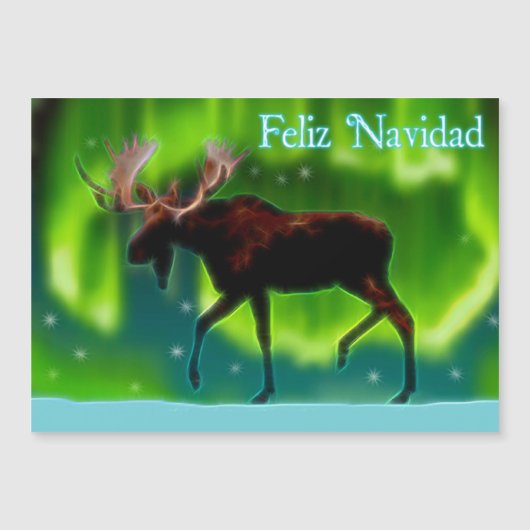 Feliz Navidad – ノーザンライトムース (正面)