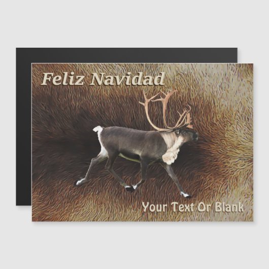 Feliz Navidad - Bull Caribou (Reindeer) (正面/裏面)