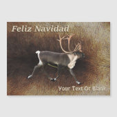 Feliz Navidad - Bull Caribou (Reindeer) (正面)