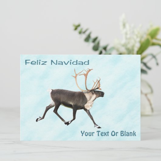 Feliz Navidad - Caribou (トナカイ) On Snow (スタンド正面)
