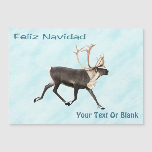 Feliz Navidad - Caribou （トナカイ） On Snow (正面)