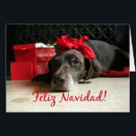 Feliz Navidad Spanish Christmas Card<br><div class="desc">Feliz Navidad - Merry Christmas in Spanish Surprise your nearest and dearest, your friends, co-workers, neighbors or even your boss with a special card in their own language or your (2nd) language. Many different designs available: from a modern collage photography card, mixing ornaments and winter landscapes, a classic vintage christmas...</div>