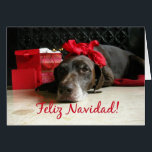 Feliz Navidad Spanish Christmas Card<br><div class="desc">Feliz Navidad - Merry Christmas in Spanish Surprise your nearest and dearest, your friends, co-workers, neighbors or even your boss with a special card in their own language or your (2nd) language. Many different designs available: from a modern collage photography card, mixing ornaments and winter landscapes, a classic vintage christmas...</div>
