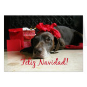 Feliz Navidad Spanish Christmas Card (正面横)