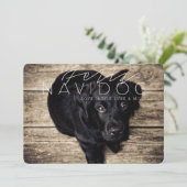 Feliz Navidog |の休日の写真 シーズンカード (スタンド正面)