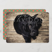 Feliz Navidog |の休日の写真 シーズンカード (正面/裏面)
