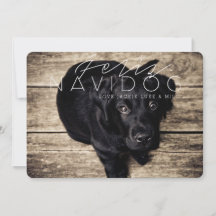 Feliz Navidog |の休日の写真