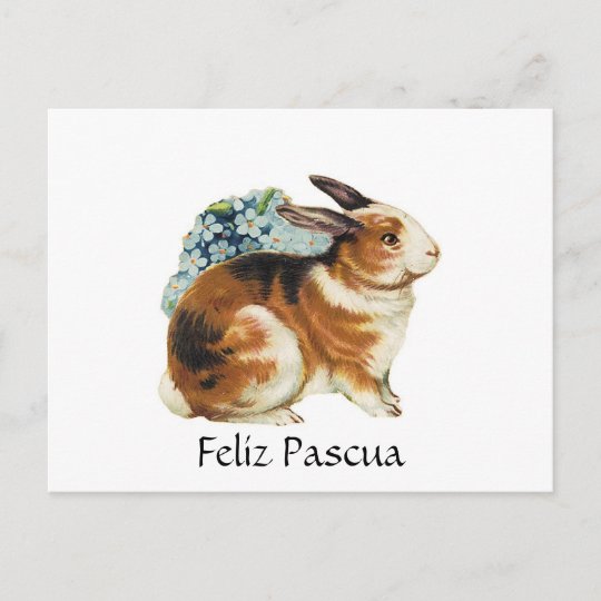 Feliz Pascuaのスペイン語のハッピーイースター シーズンポストカード Zazzle Co Jp