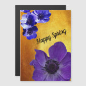 Feliz Primavera (正面/裏面)